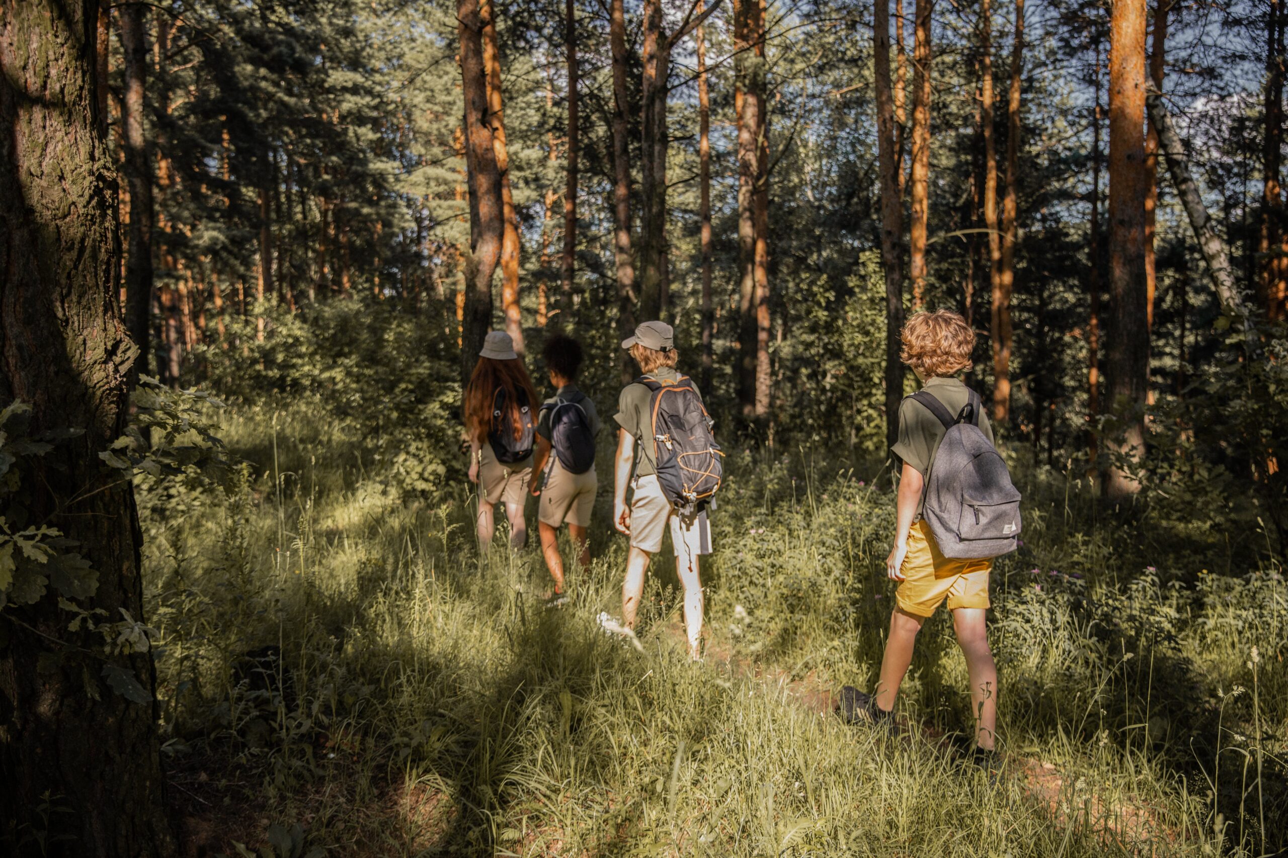 Children walking through the woods.