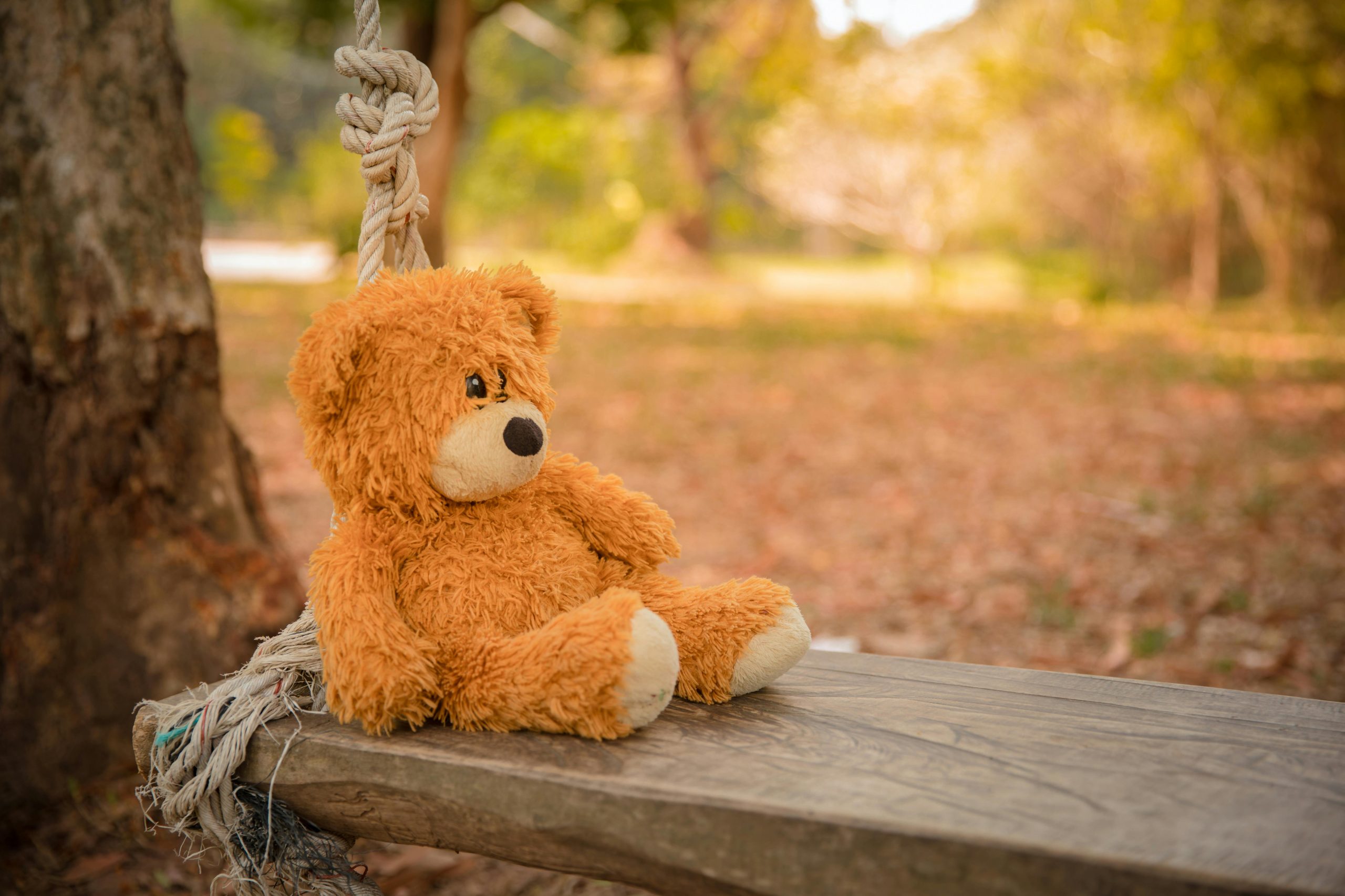 A keepsake like a photo or teddy can be a huge source of comfort.